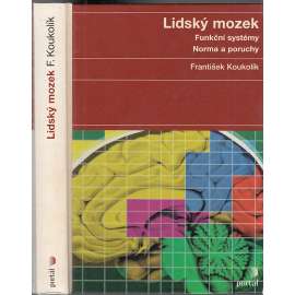 Lidský mozek: funkční systémy, norma a poruchy