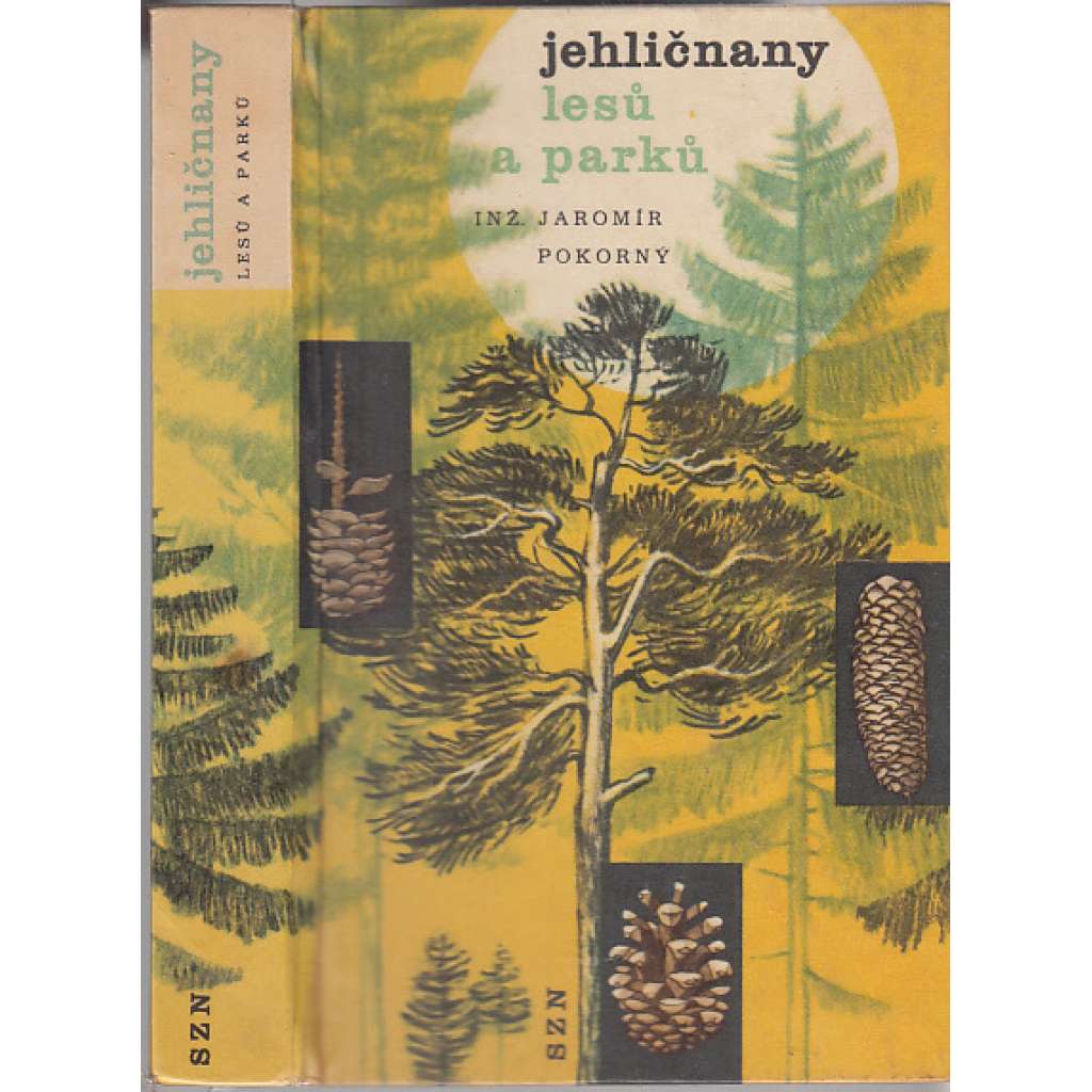 Jehličnany lesů a parků