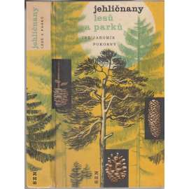 Jehličnany lesů a parků