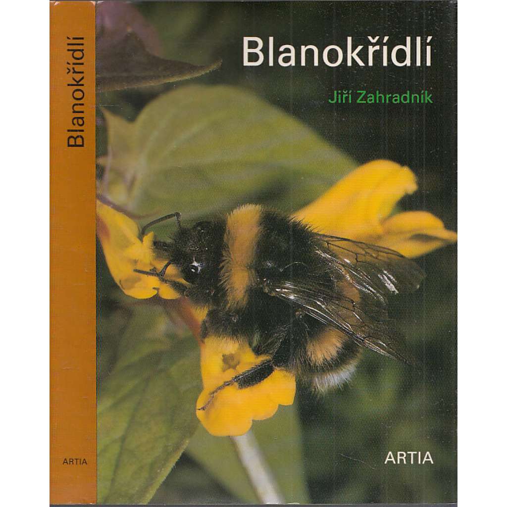 Blanokřídlí [hmyz - včely, vosy, mravenci ad.]