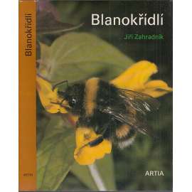 Blanokřídlí [hmyz - včely, vosy, mravenci ad.]