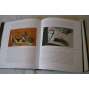 František Tichý [velká monografie Gallery 2002 - český malíř a grafik]