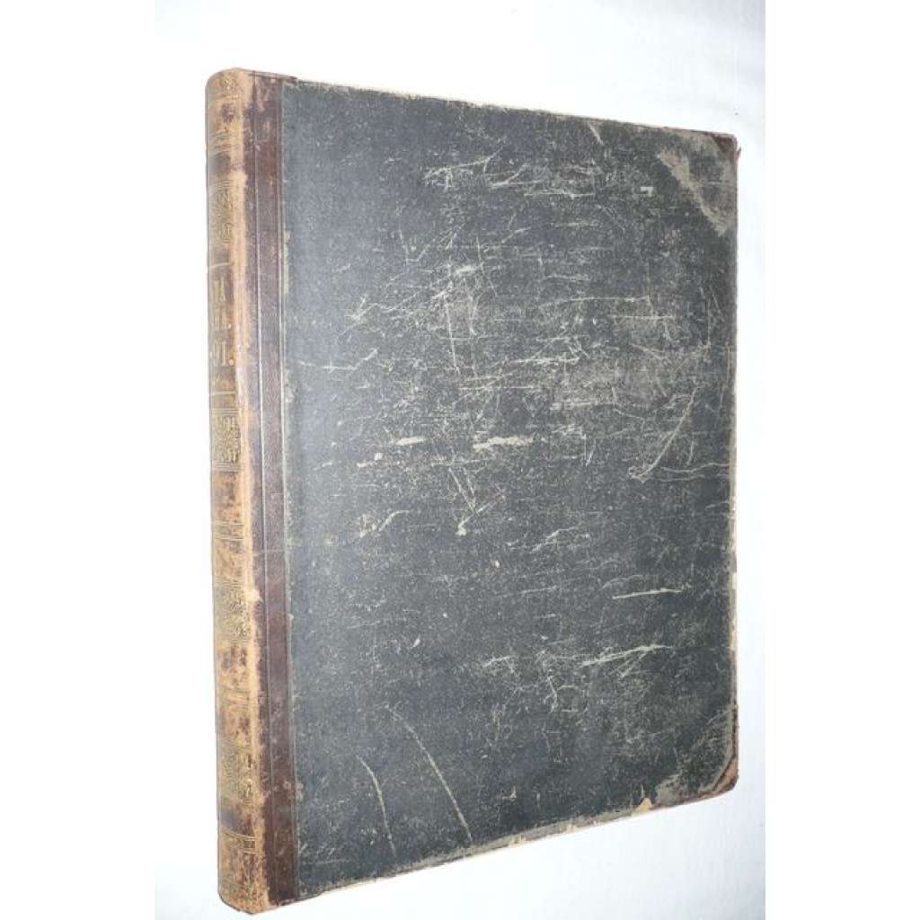 Zlatá Praha, ročník VIII., 1891 (Obrázkový týdeník, poezie, beletrie, historie, kutlura, mj. A. Jirásek - Druhý květ, T. Hrubý - Zoroaster, Zdeněk Fibich, K. B. Mádl - O pokladu dómu Svatovítského v Praze; Heinrich Schliemann)