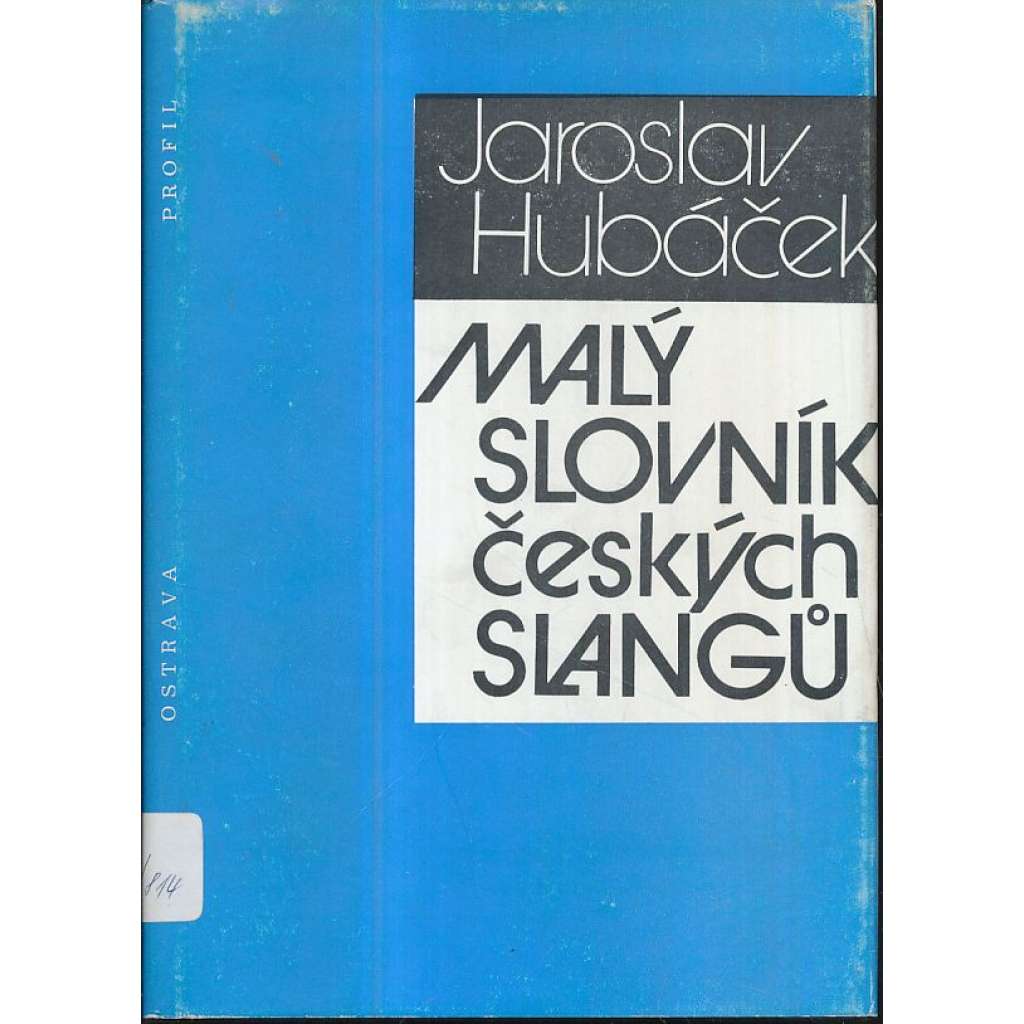 Malý slovník českých slangů (slang, slangy, jazykověda)