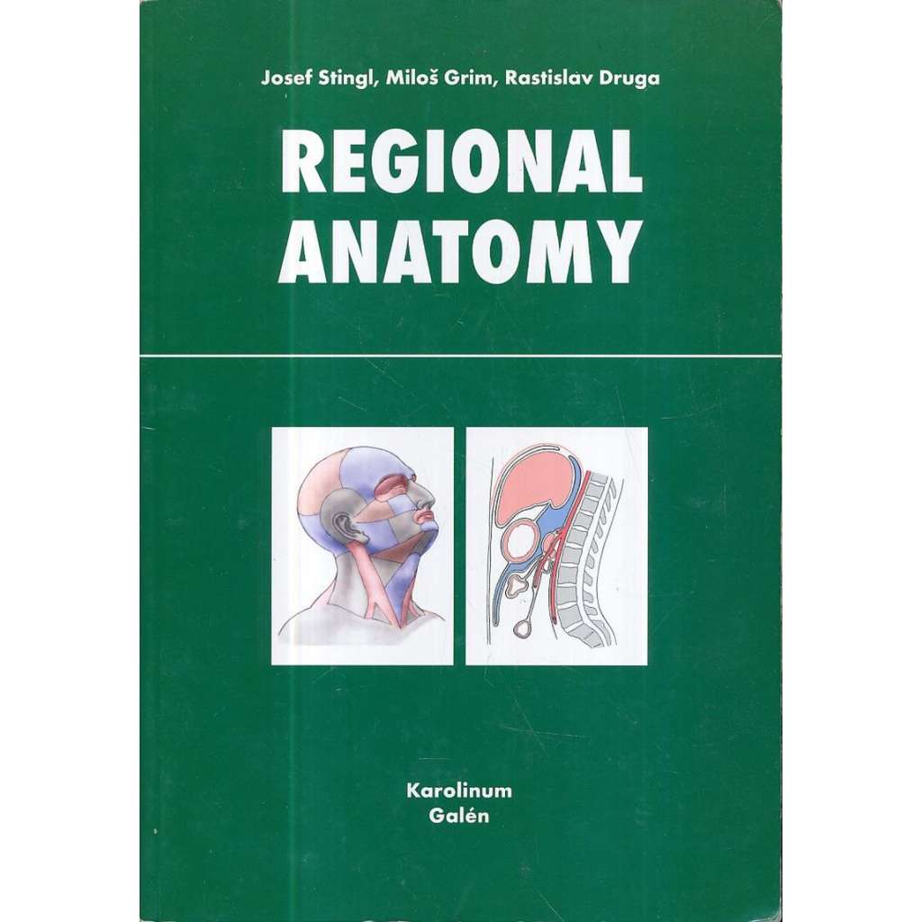 Regional Anatomy