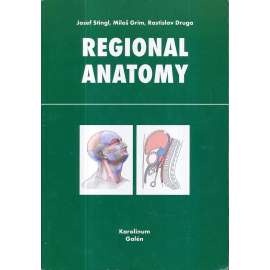 Regional Anatomy