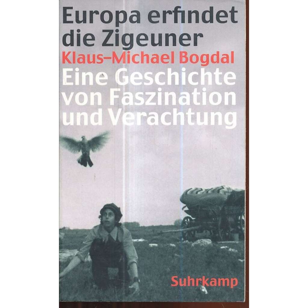 Europa erfindet die Zigeuner: Eine Geschichte von Faszination und Verachtung