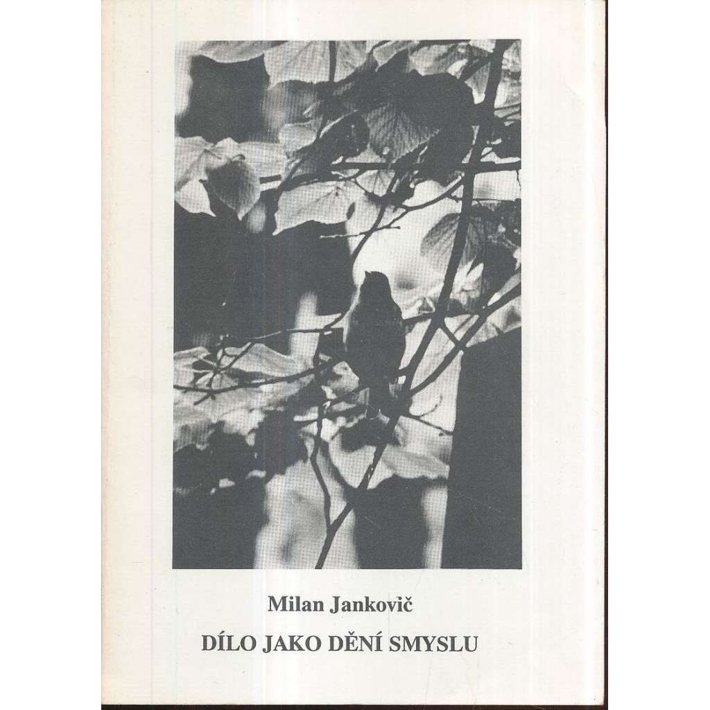 Dílo jako dění smyslu