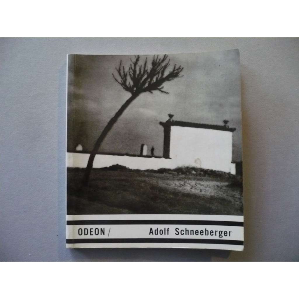 Adolf Schneeberger. Umělecká fotografie, svazek 39