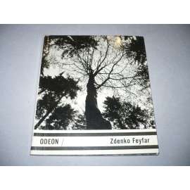 Zdenko Feyfar [Umělecká fotografie, sv. 37; fotograf - krajina, Praha, Krkonoše, Český ráj, portréty, mj. i Zrzavý, Sudek ad.]
