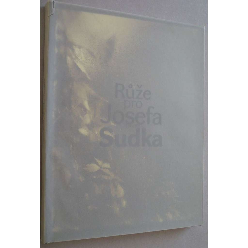 Růže pro Josefa Sudka (1896-1976) / A Rose for Josef Sudek (1896-1976) Fotografie