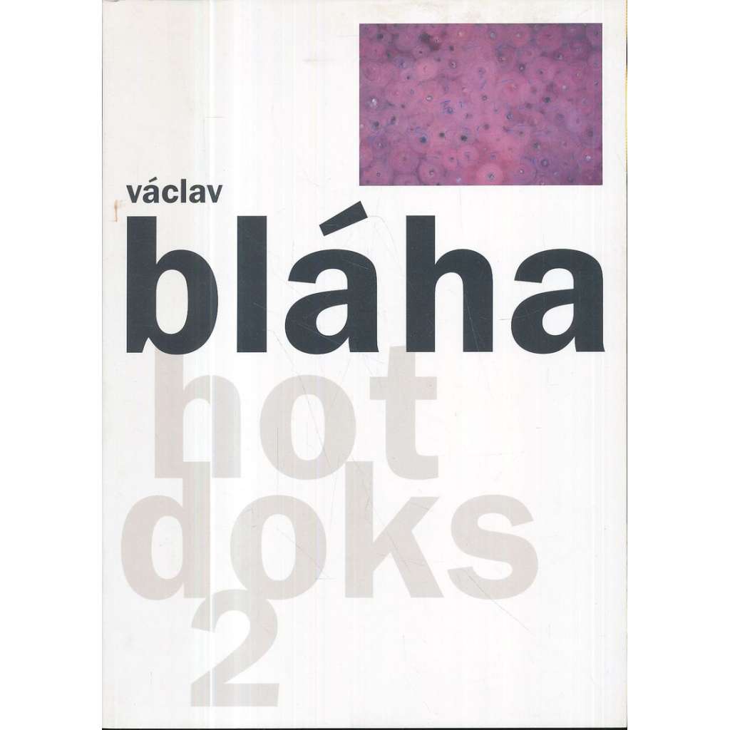 Václav Bláha - Hot Doks 2