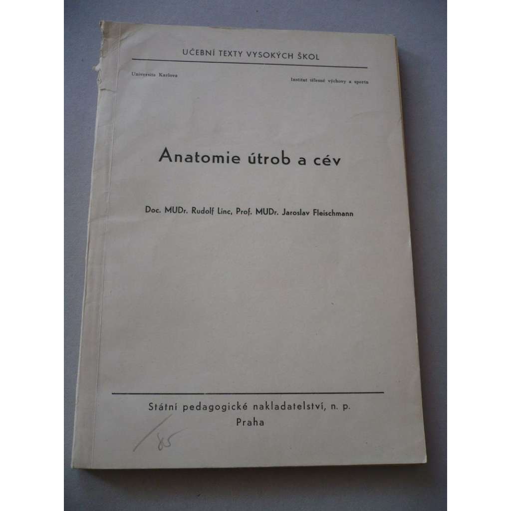 Anatomie útrob a cév