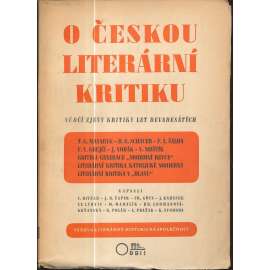 O českou literární kritiku