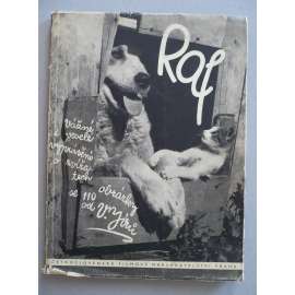 Raf. Obrázkový deník bernardýna Rafa, kočky Míny a malé Krasavice, foxteriéra Ferdy a jejich přátel