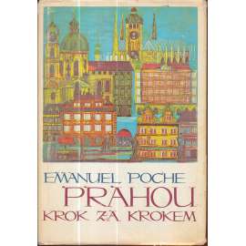 Prahou krok za krokem. Uměleckohistorický průvodce městem (architektura Prahy, historie, umění)