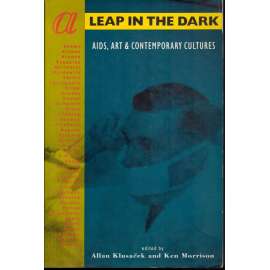 A Leap in the Dark: AIDS, Art & Contemporary Cultures