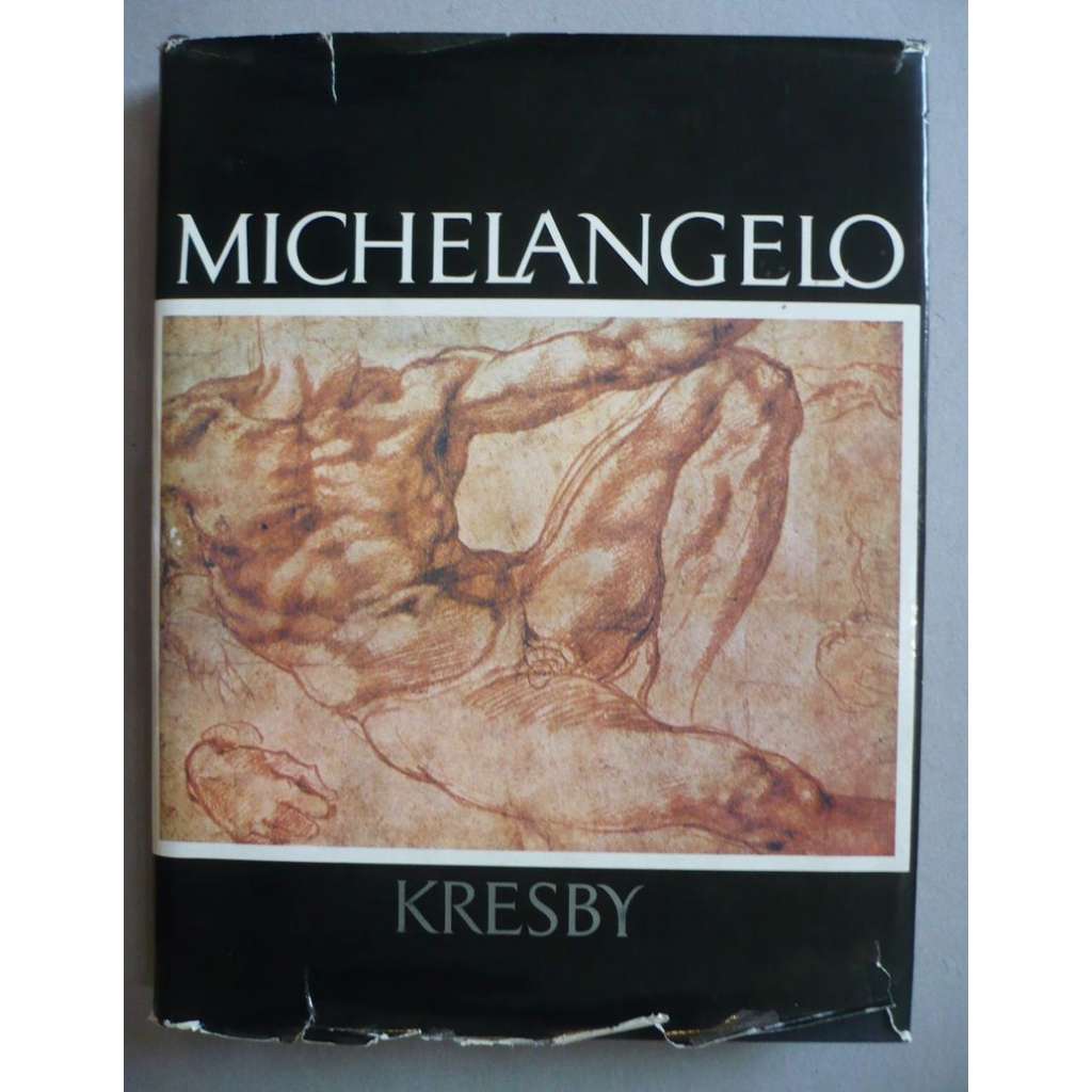 Michelangelo - Kresby
