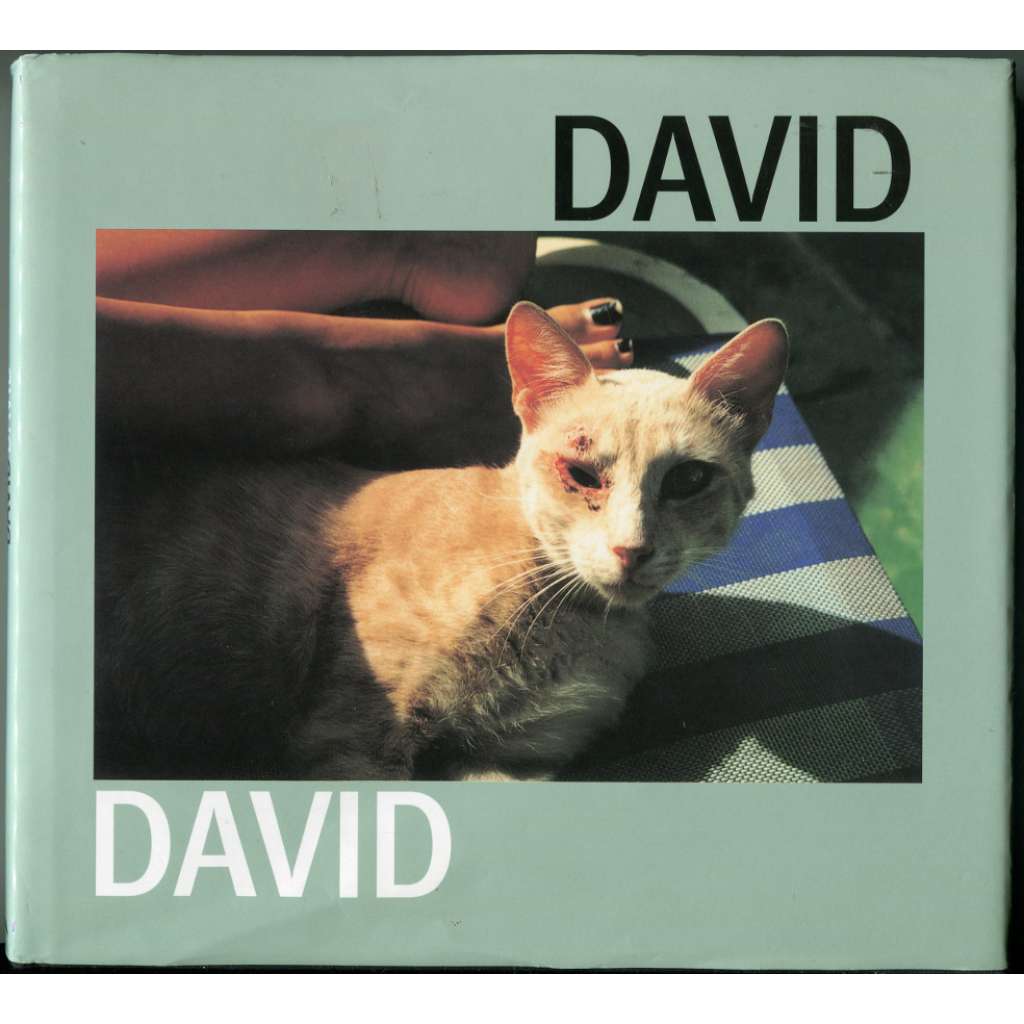 David