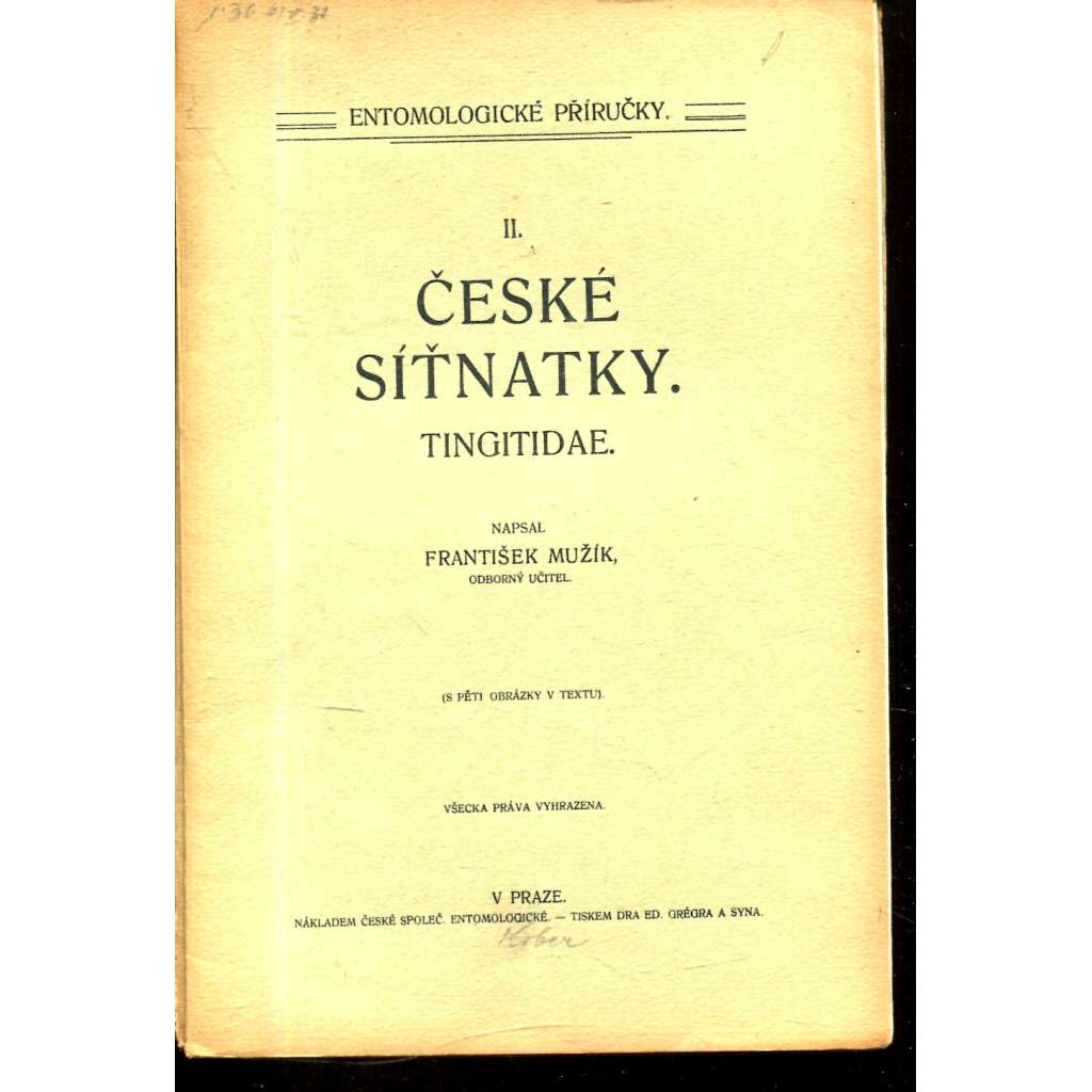 České síťnatky (Tingitidae)