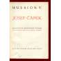 Musaion V. - Josef Čapek (monografie o Josefu Čapkovi, malíři a grafikovi)