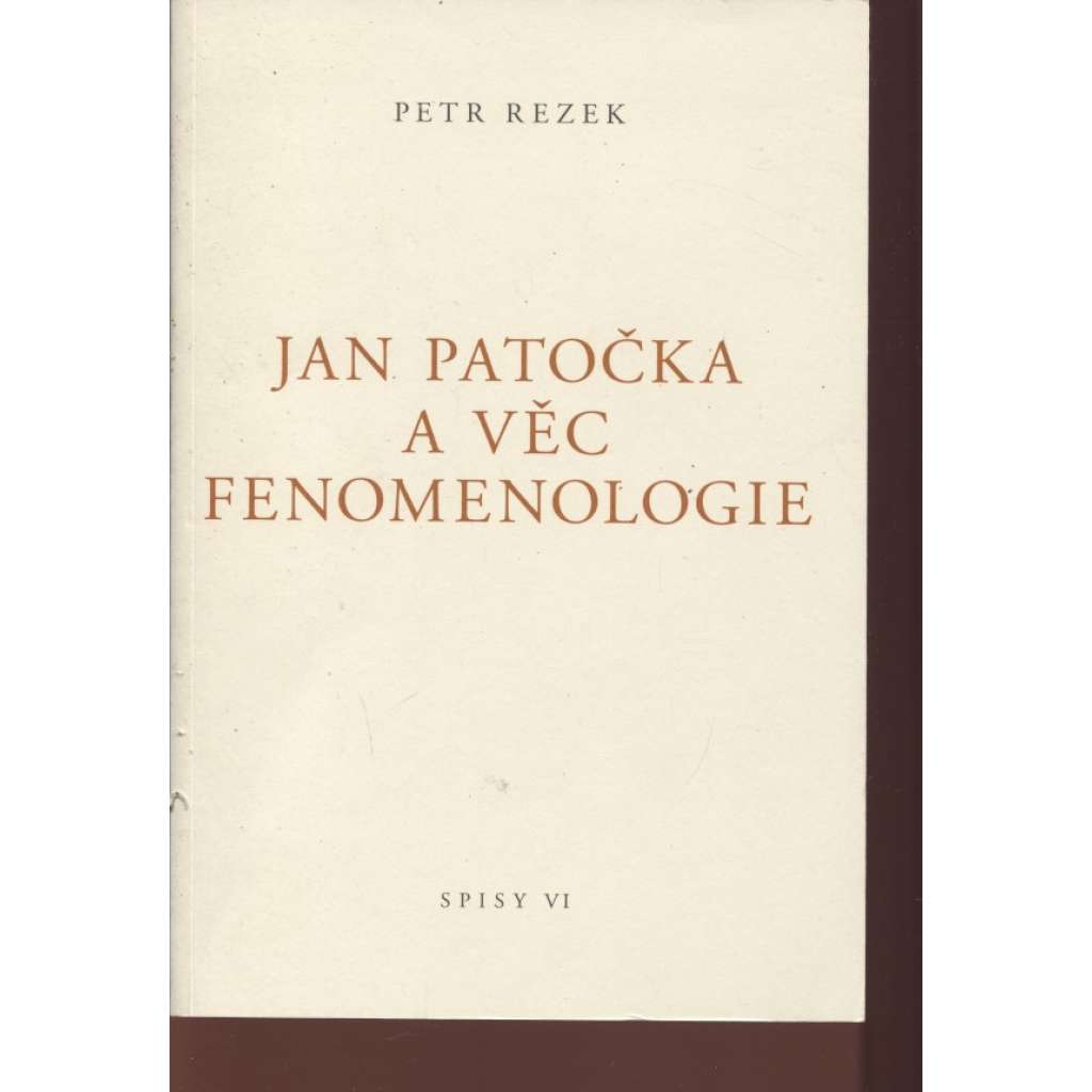 Jan Patočka a věc fenomenologie (Spisy VI)