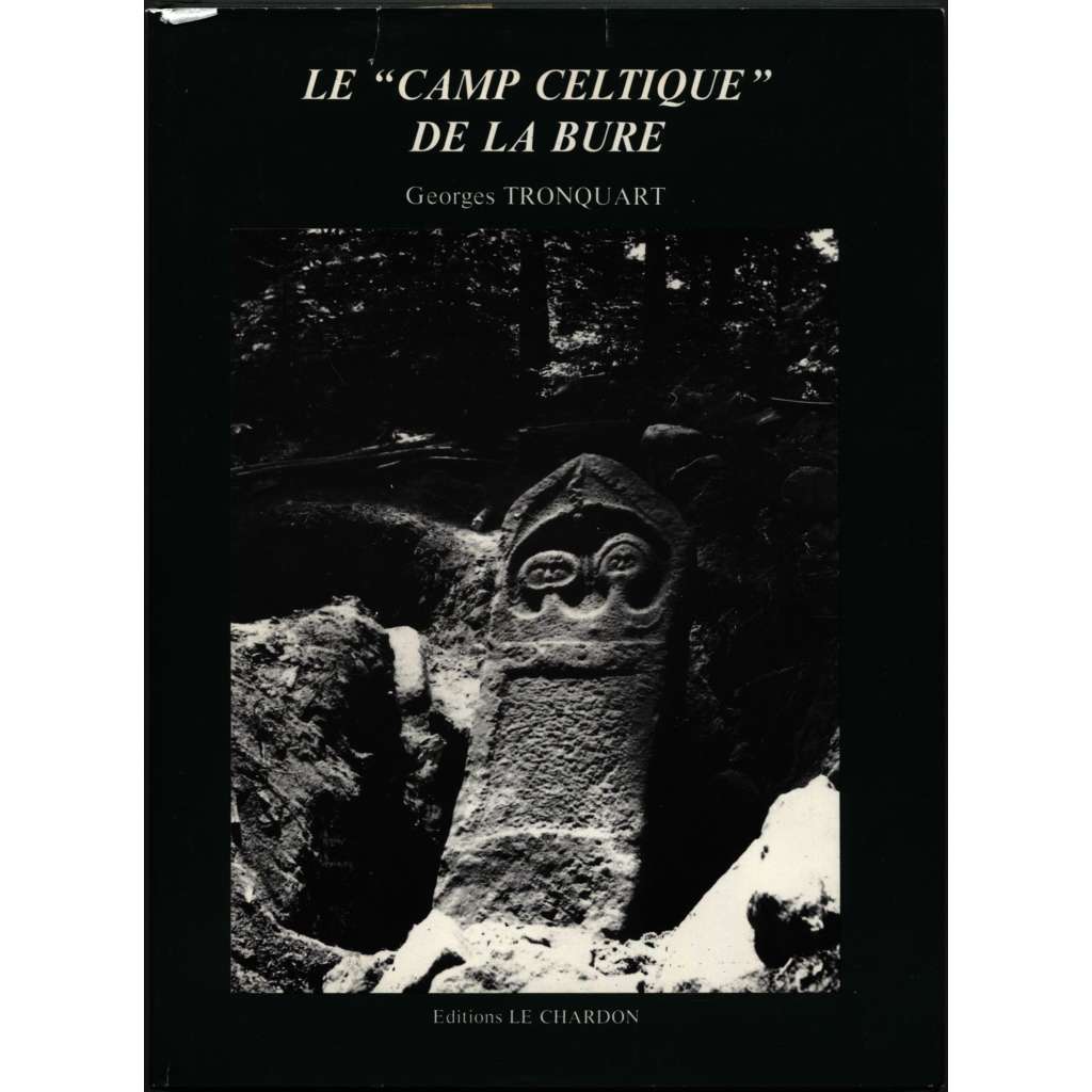 Un castellum du massif vosgien: Le "Camp Celtique" de la Bure (Saint-Dié) [Keltové]