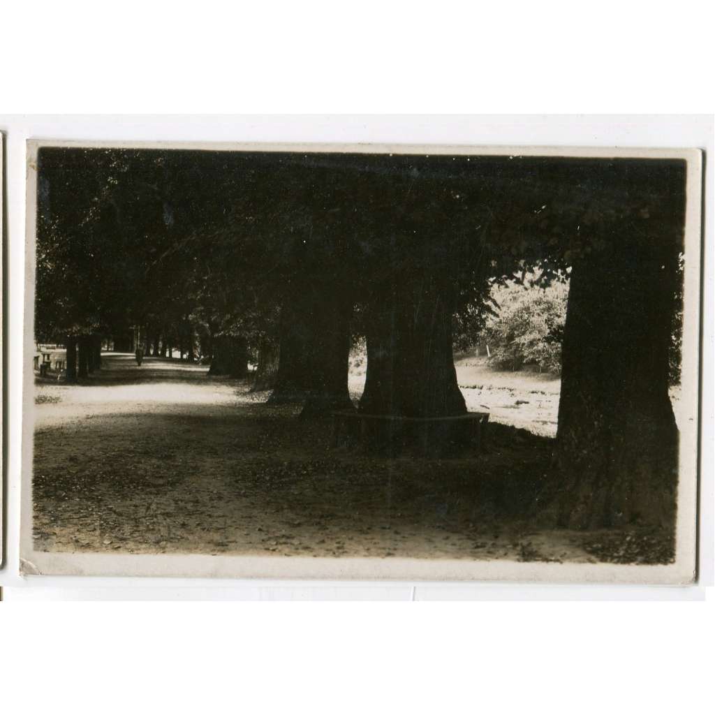 Potštejn, Rychnov nad Kněžnou