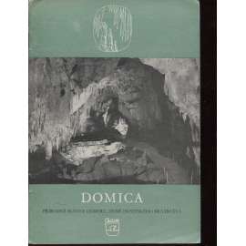 Domica (jeskyně, Slovesko)