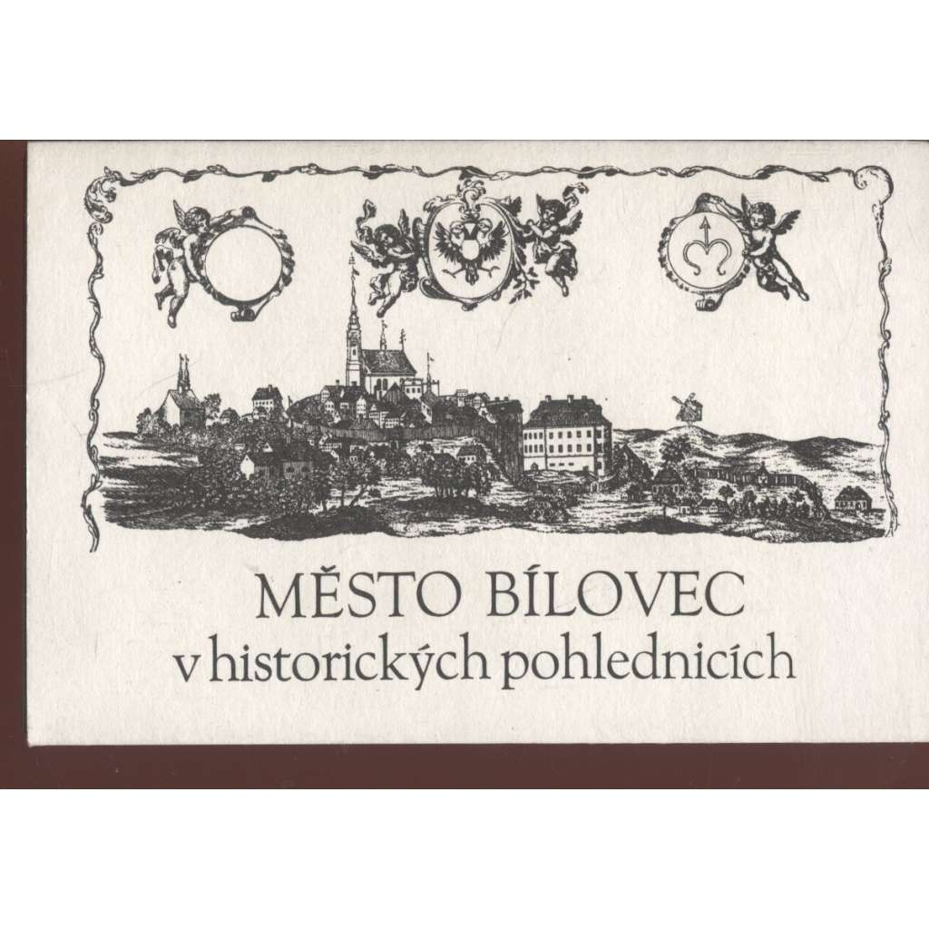 Město Bílovec v historických pohlednicích