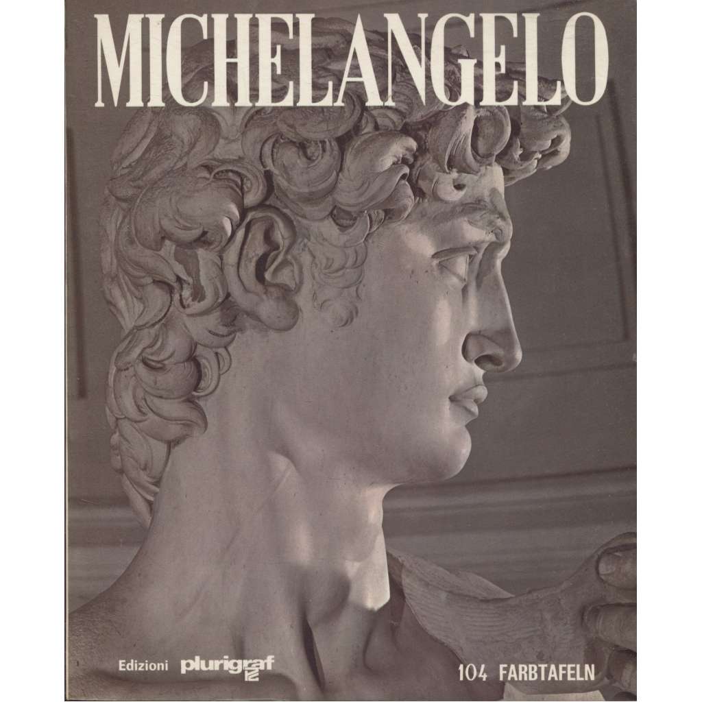 Michelangelo (text německy)