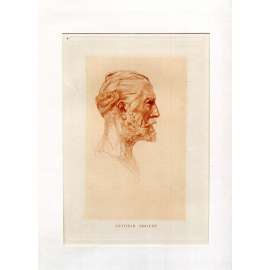 Auguste Rodin - Antonin Proust [1885; lept; grafika; portrét; 19. století]