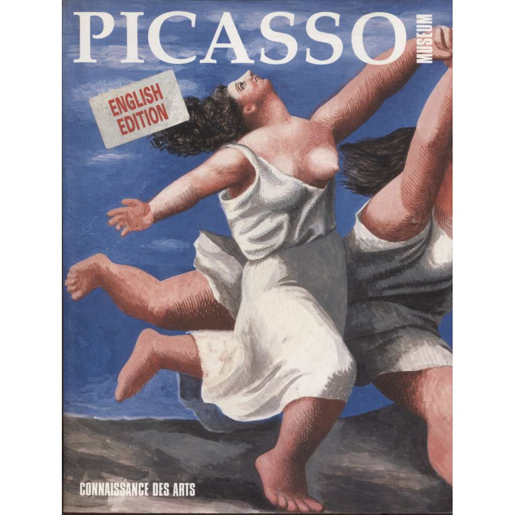 Picasso (text anglicky)
