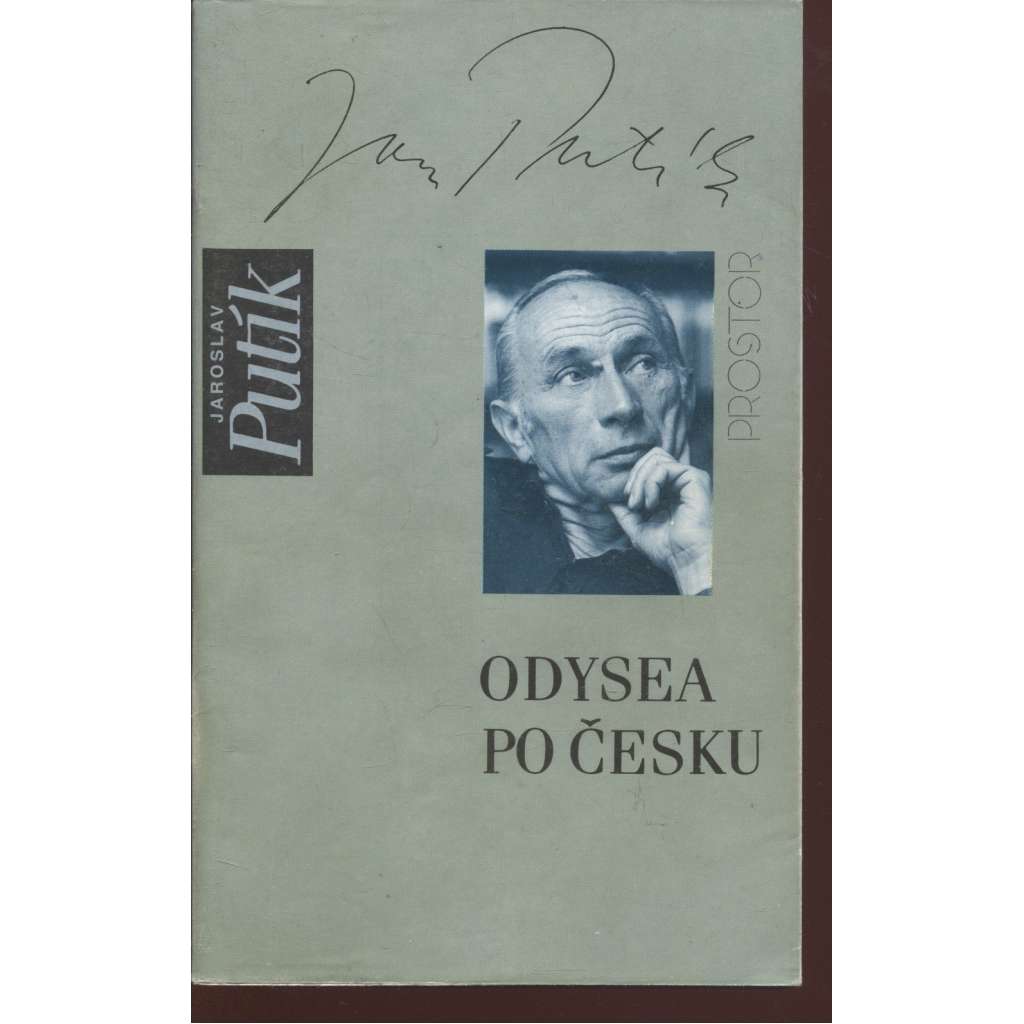 Odysea po česku - Deníkové zápisy českého spisovatele  z let 1971 až 1989 (Jaroslav Putík)