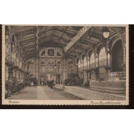 Karlovy Vary