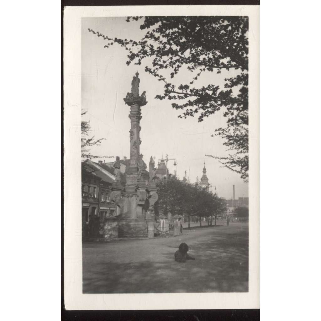 Rakovník (Orbis)