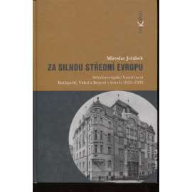 Za silnou střední Evropu: Středoevropské hnutí mezi Budapeští, Vídní a Brnem v letech 1925-1939