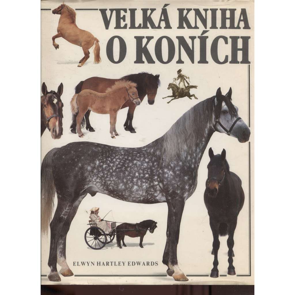 Velká kniha o koních - (encyklopedie koní, kůň, koně)