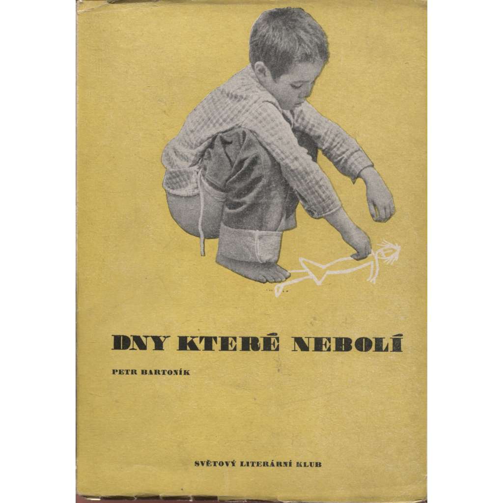 Dny, které nebolí (obálka fotomontáž)