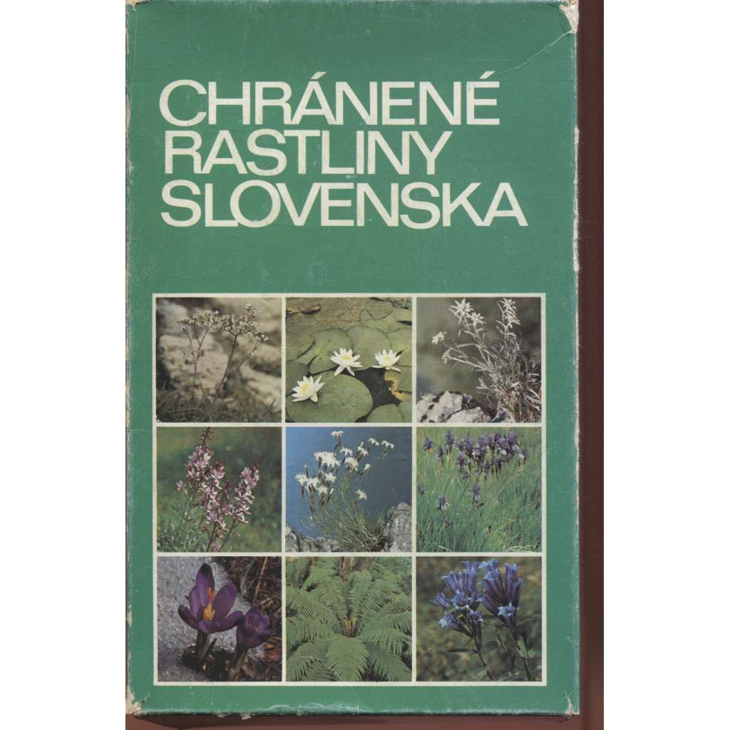 Chránené rastliny Slovenska (rostliny, Slovensko)