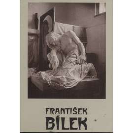 František Bílek 1872-1941 - The Villa Bílek in Prague and its creator - Bílkova vila v Praze a její tvůrce (soubor pohlednic, text anglicky)