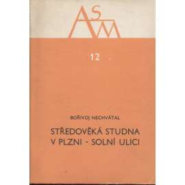 Středověká studna v Plzni - Solní ulici (Plzeň)