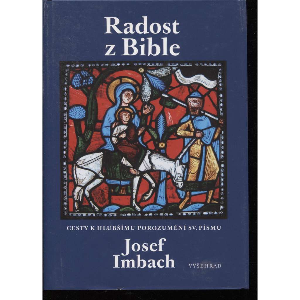 Radost z Bible: Cesty k hlubšímu porozumění sv. Písmu