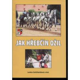 Jak hřebčín ožil (kůň, koně, hřebčín Kladruby nad Vltavou)