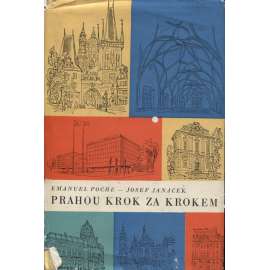 Prahou krok za krokem - Uměleckohistorický průvodce městem [architektura Prahy, památky, stavby, domy, Praha]