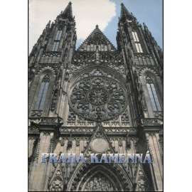 Praha kamenná - Přírodní kameny v pražských stavbách a uměleckých dílech [architektura, sochařství]
