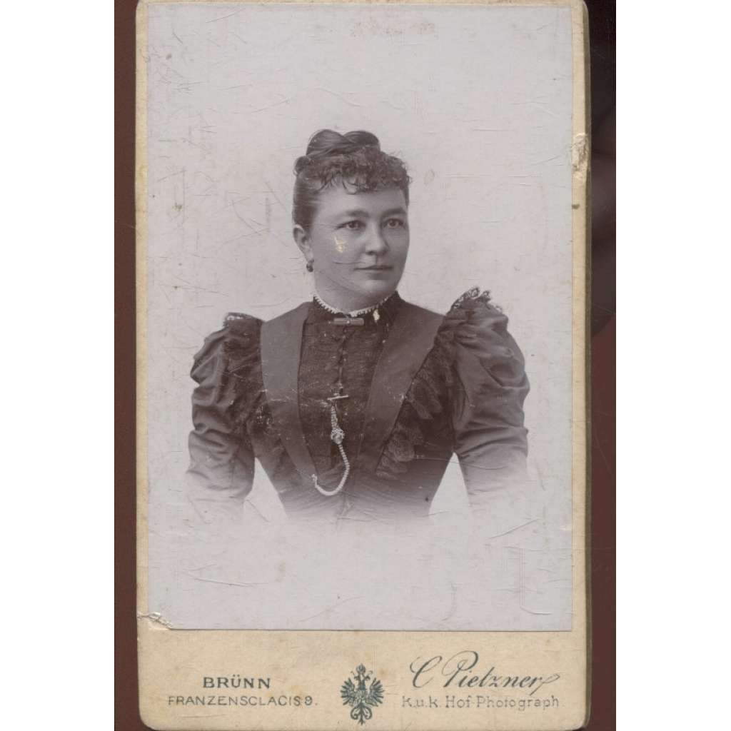 Stará fotografie - kabinetka (Carl Pietzner, Teplice, Vídeň) - žena