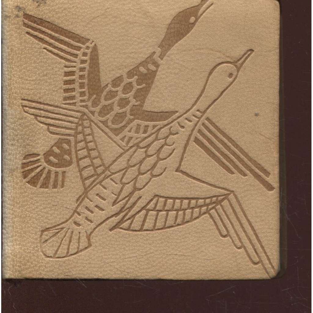 Verše psané na vodu (Starojaponská pětivěrší) - kolibřík
