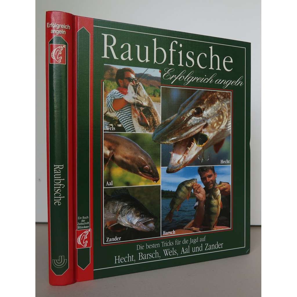 Raubfische: Erfolgreich angeln [rybolov, rybářství, rybaření, dravé ryby, štika, sumec, okoun, úhoř, candát]