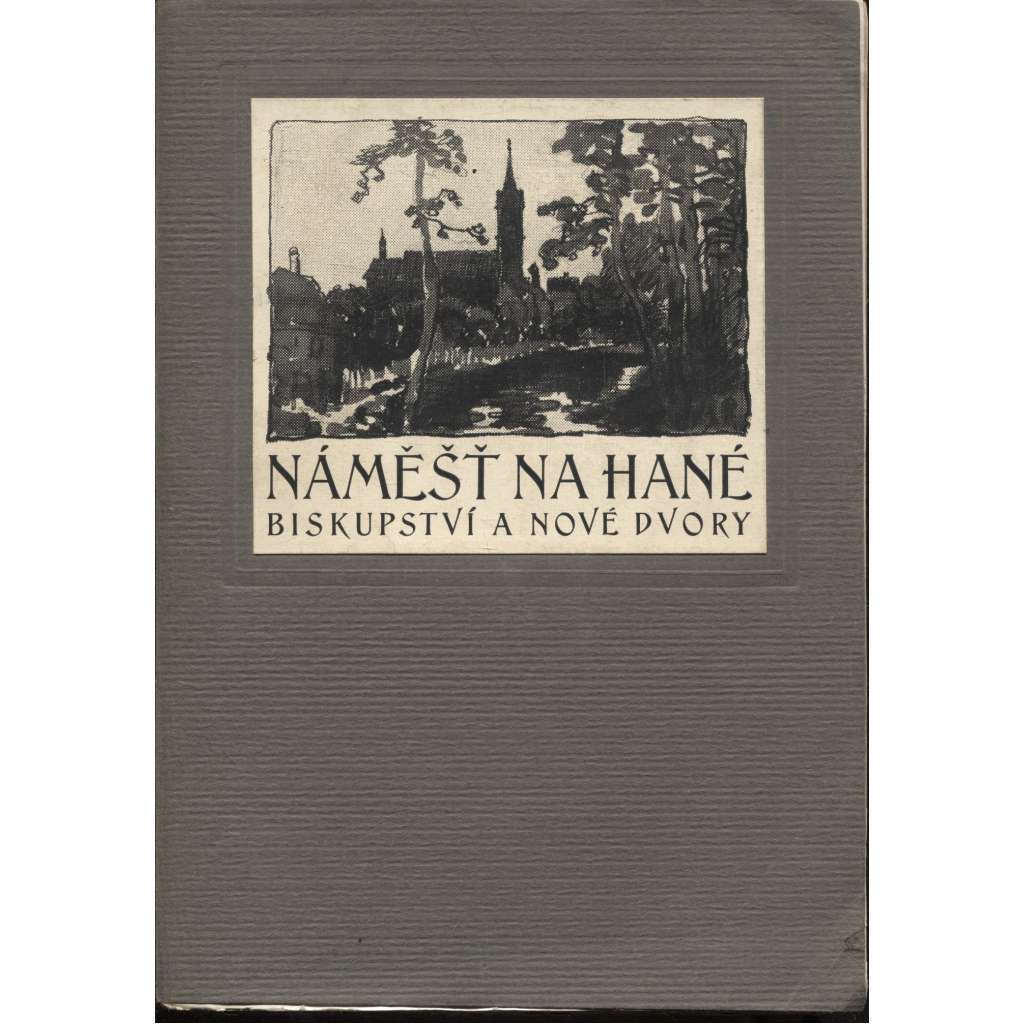 Náměšť na Hané, Biskupství a Nové Dvory - Obrázek minulosti a přítomnosti hanáckého městečka (dějiny města)